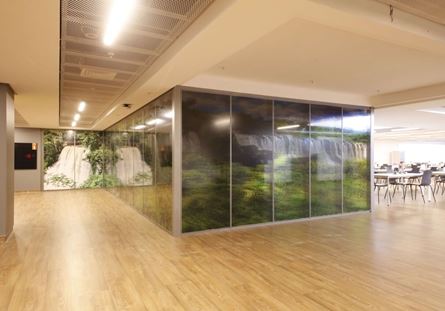 Glazed Partition Wall